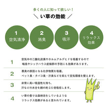 Load image into Gallery viewer, Igusa Box Pillow