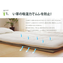 Load image into Gallery viewer, Foldable Tatami