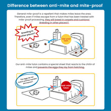 Load image into Gallery viewer, Anti-mite Futon