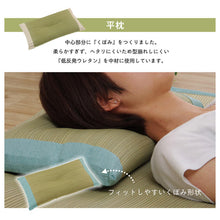 Load image into Gallery viewer, Igusa Pillow
